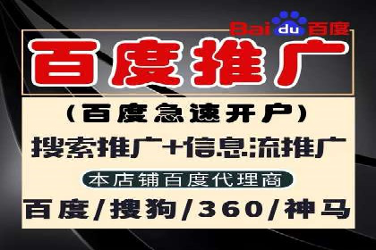 某公司网站sem托管项目纪实